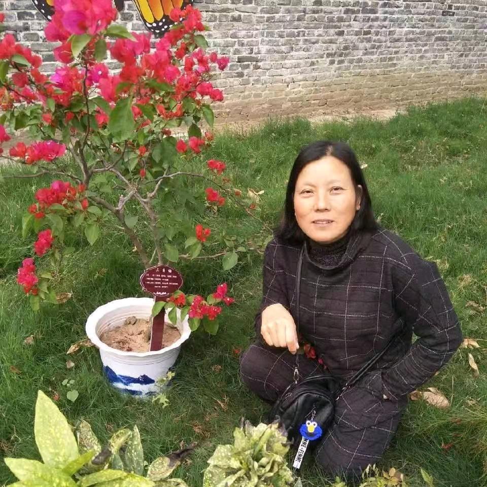 河南格格