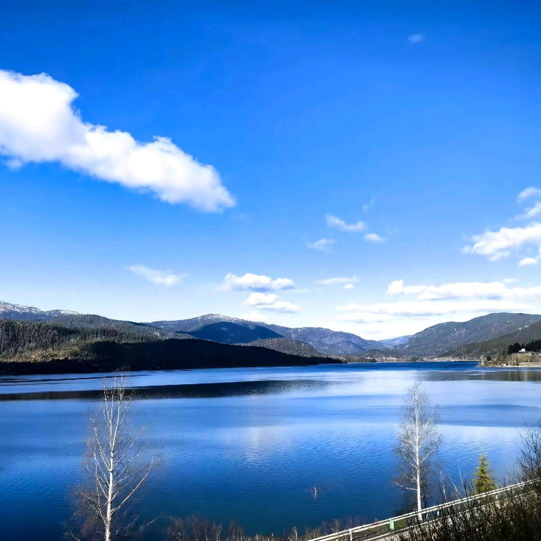 ༄༊࿆清风💞与酒ღ᭄ꦿ