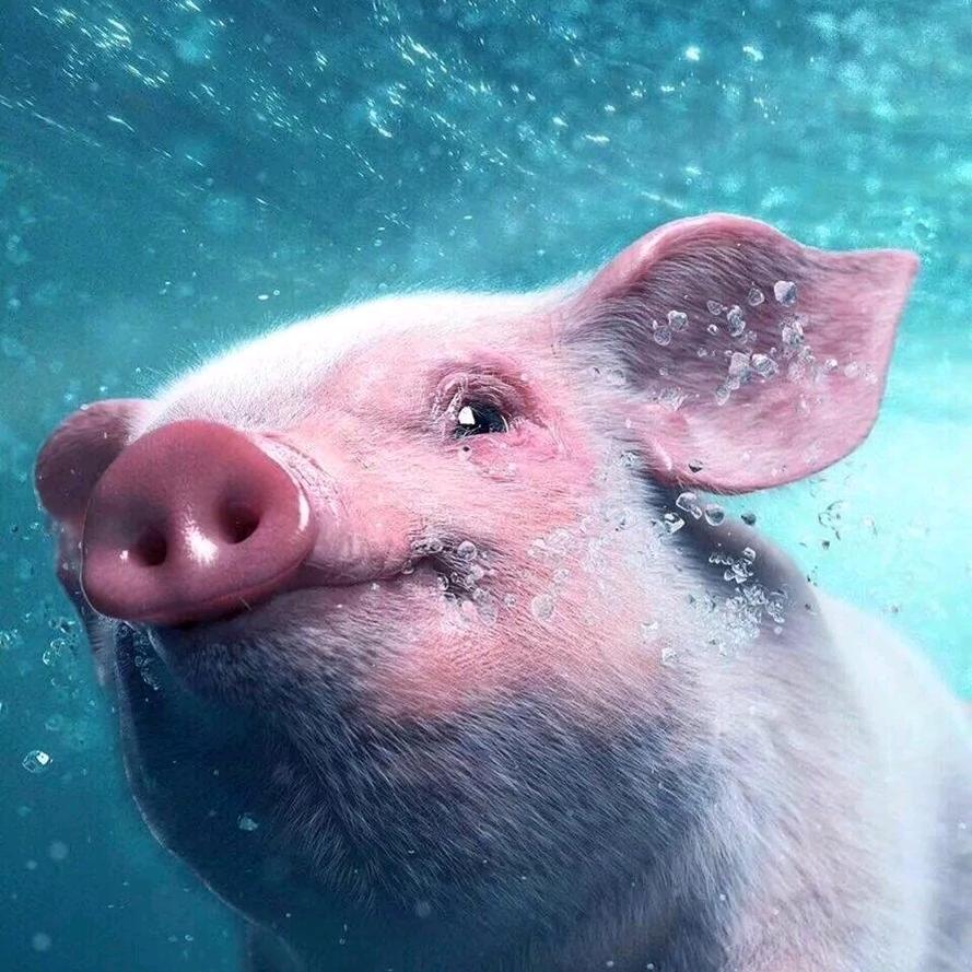 十六（三角洲跑刀）