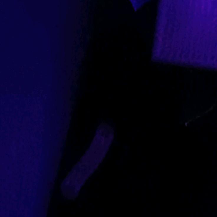 新林
