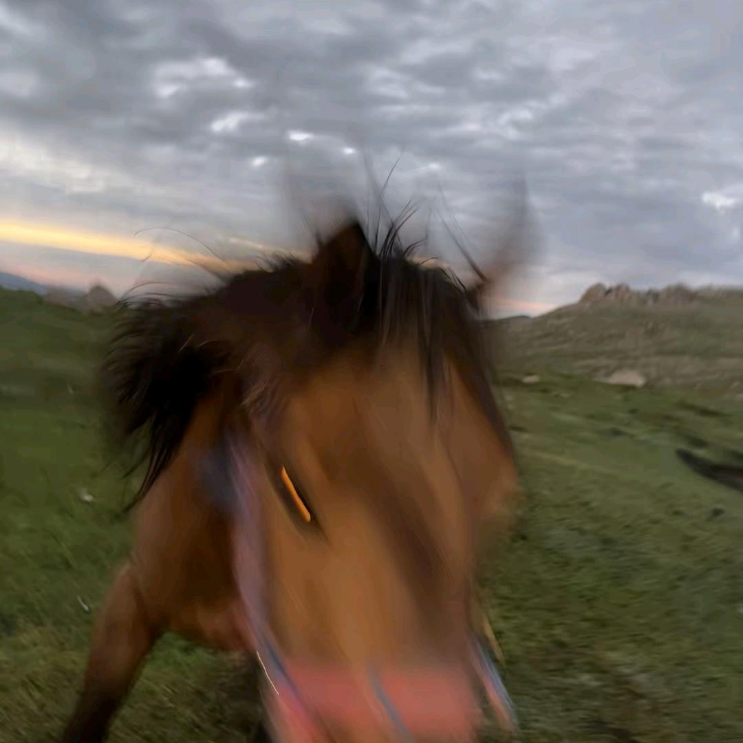 火麟飞