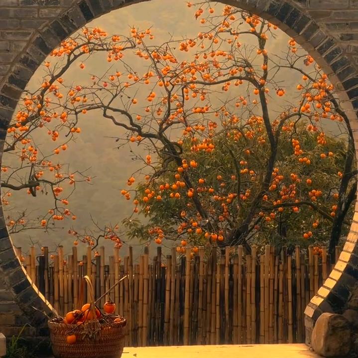 睡不着的泡泡糖:💤