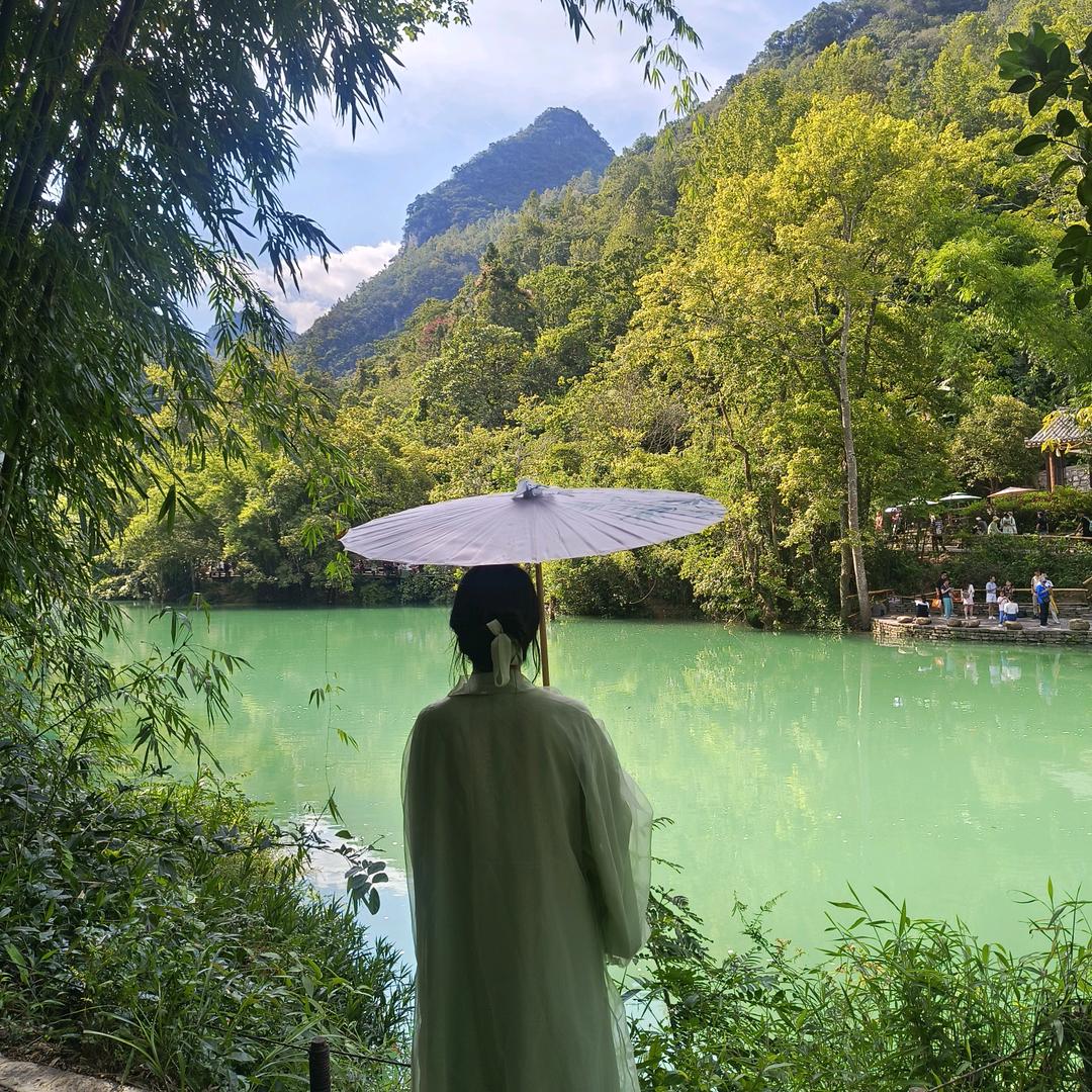 张奶茶😌