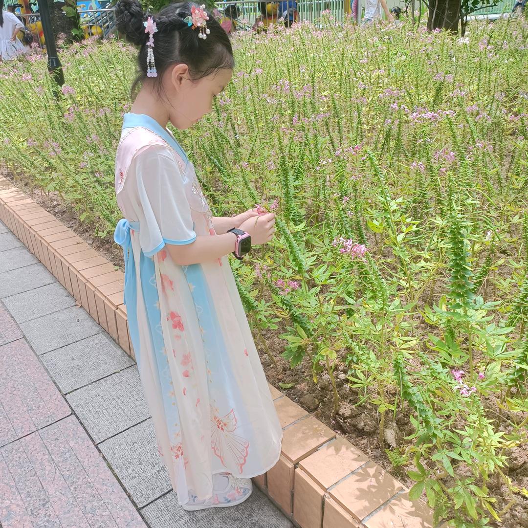 爱丽