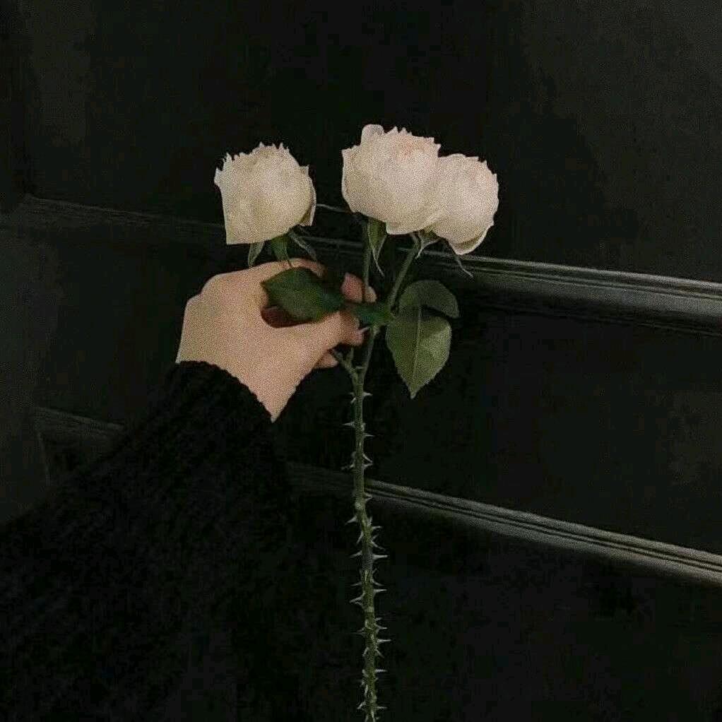 時an 👸🏻