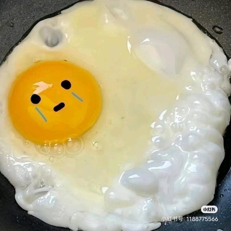 海豚有海