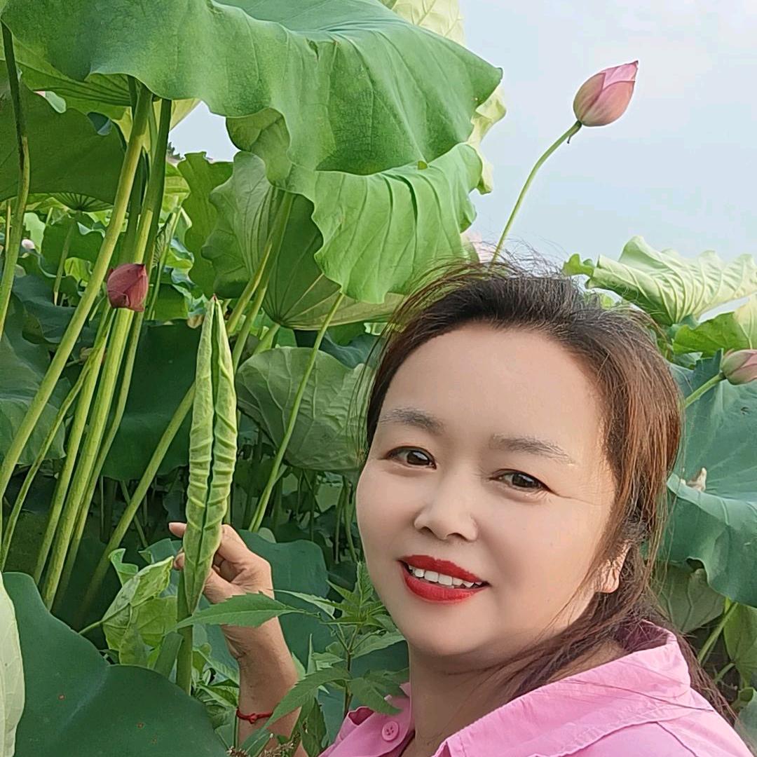 傻妹简