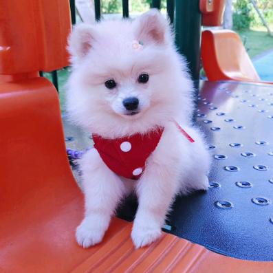 🐑ℒᎭℯ⃝久伴不离⁵²º᭄