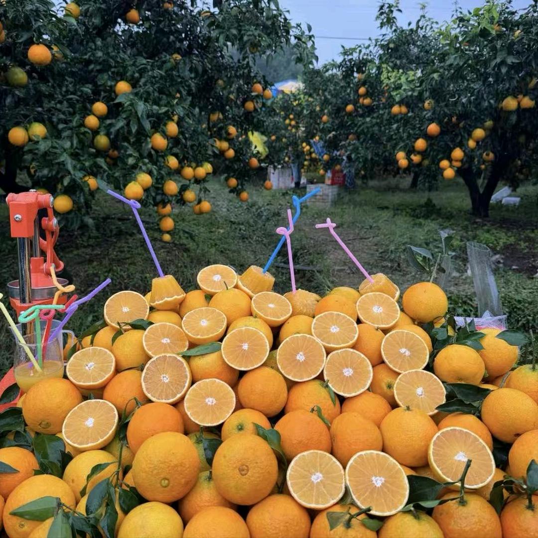 生鲜水果一号仓