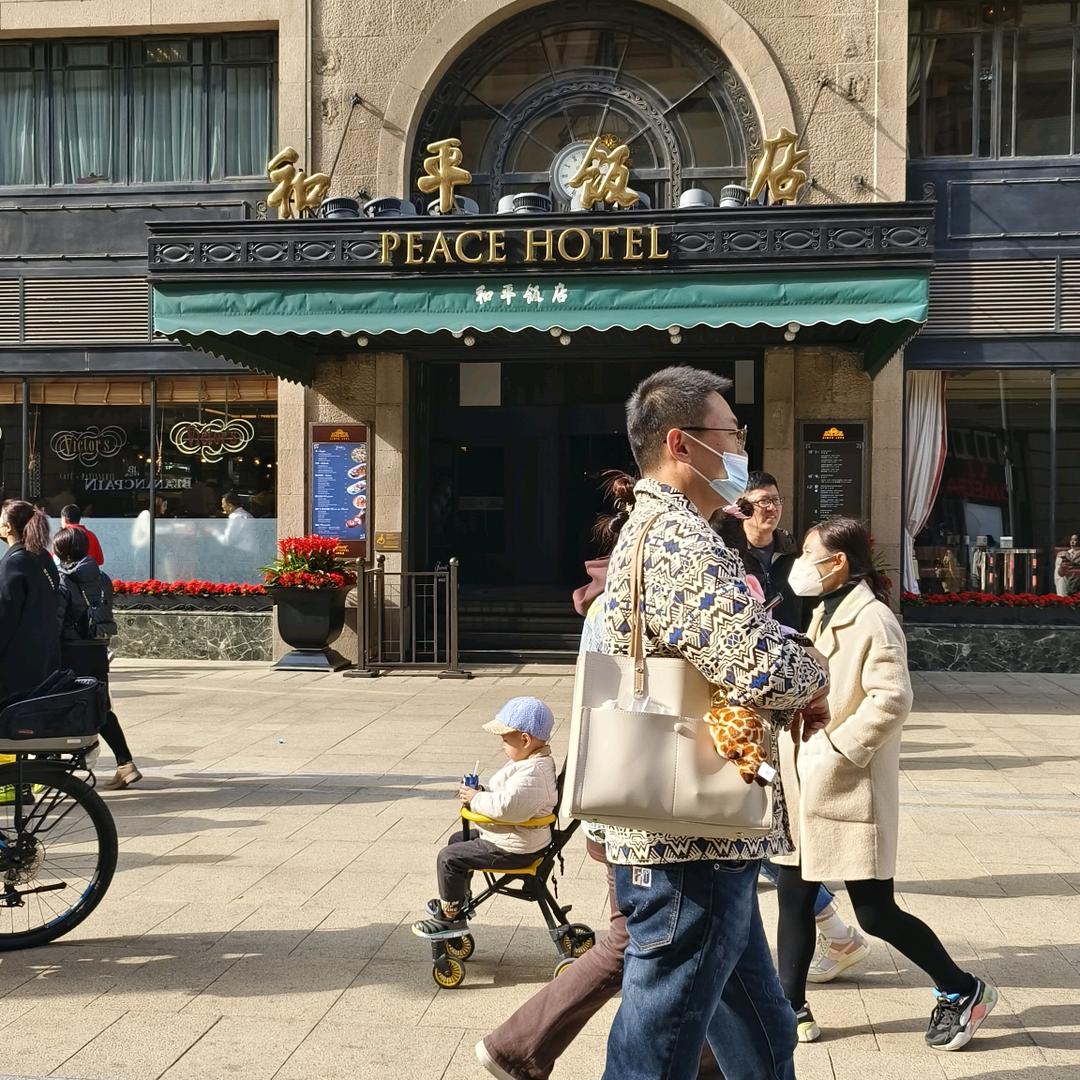 《西北狼》》🐺