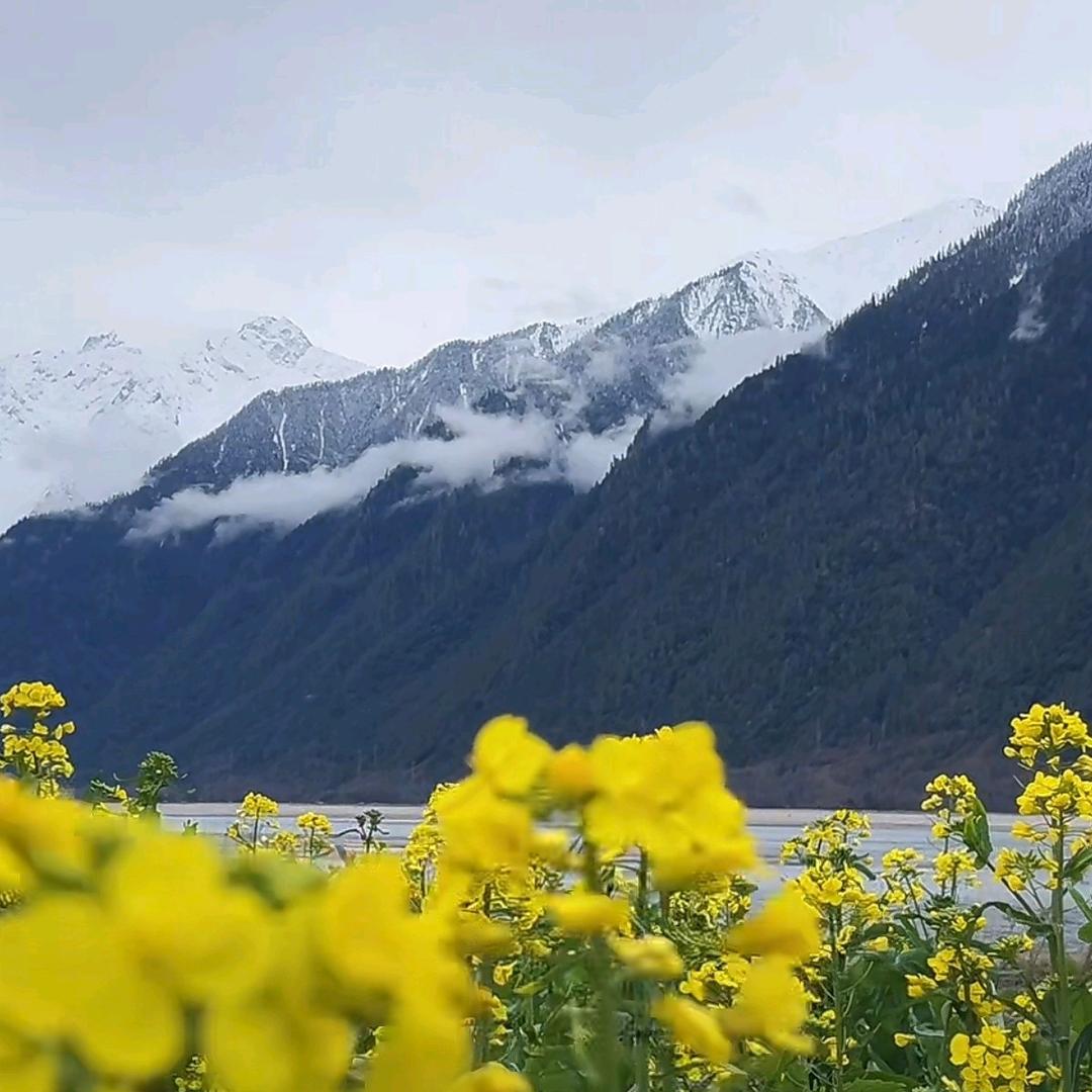 安康顺遂