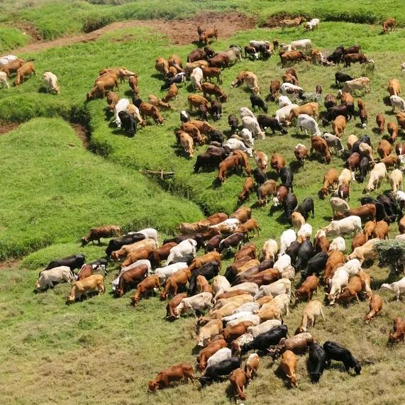 ꧁꫞鱼哭了海知道，我哭了谁知道꫞꧂