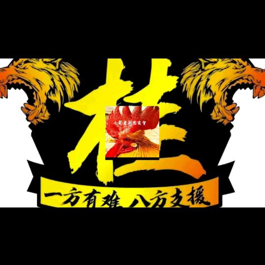 侬村人柒哥