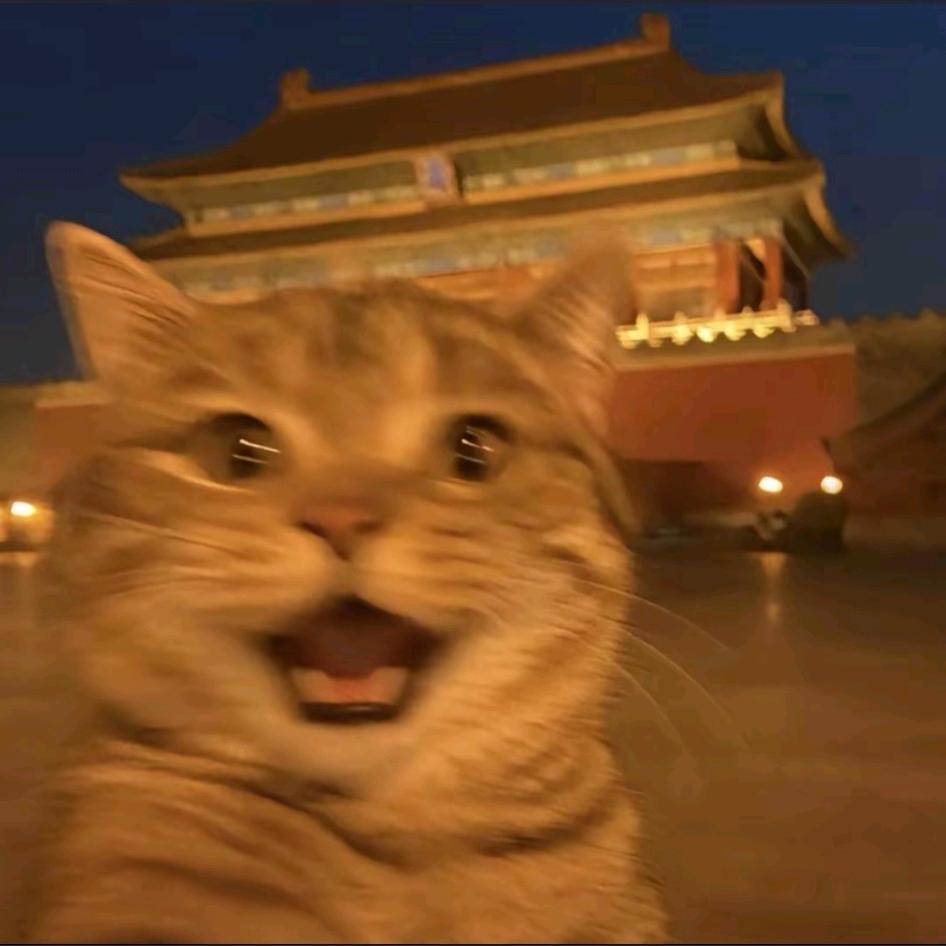 皮蛋瘦肉周