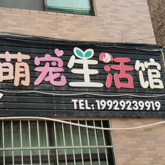 萌宠宠物馆工作室