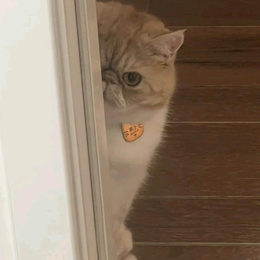 榆槡是条🐠⁹²⁰