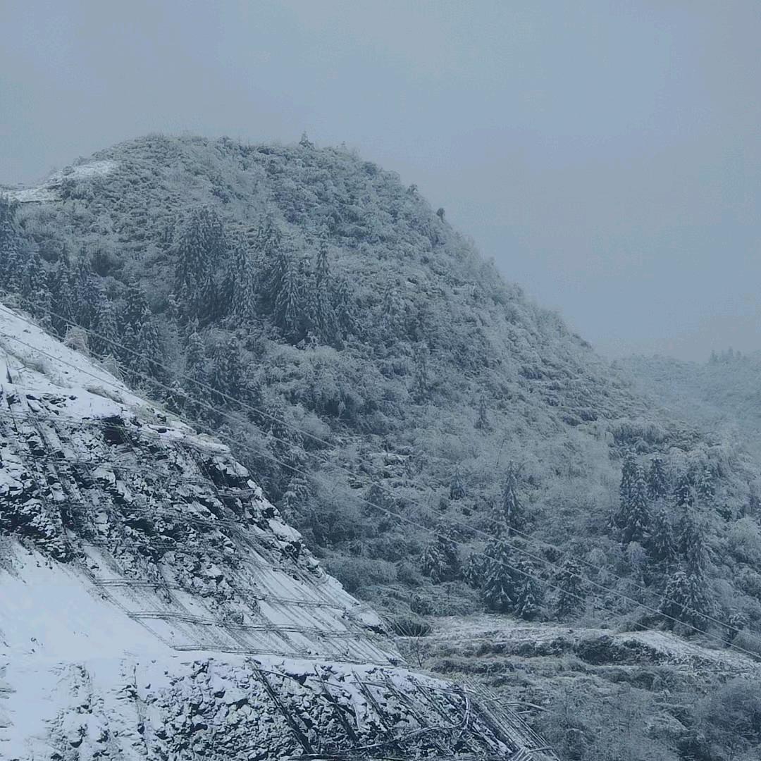 梅雪