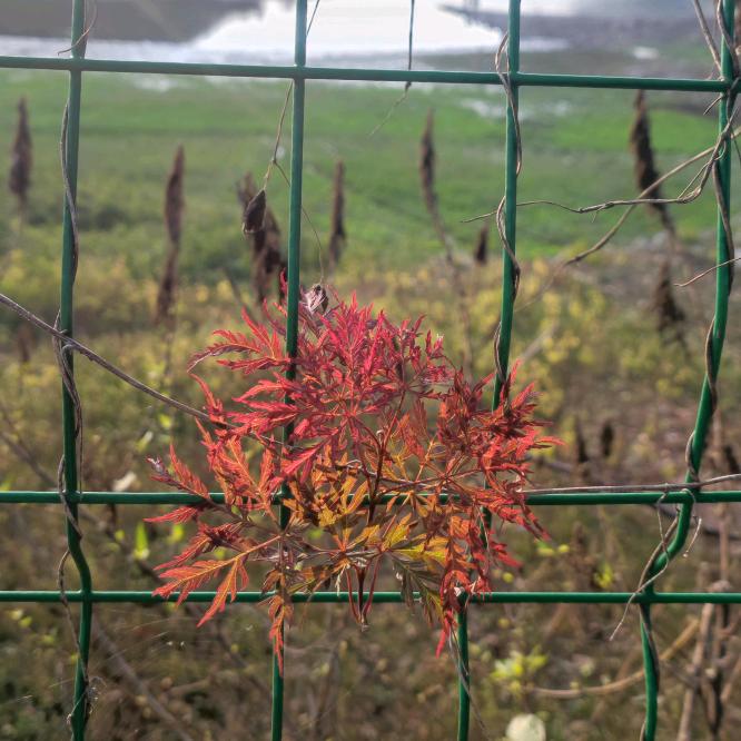 ୧⍢⃝୨ ୧⍢⃝୨咻咻咻