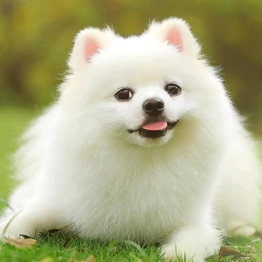 熙蕊