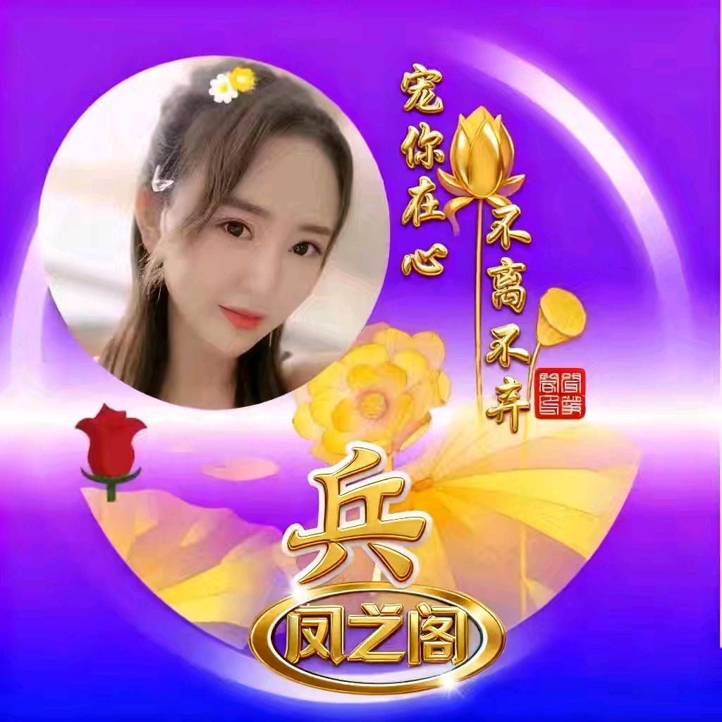 凤婵古筝🦚兵