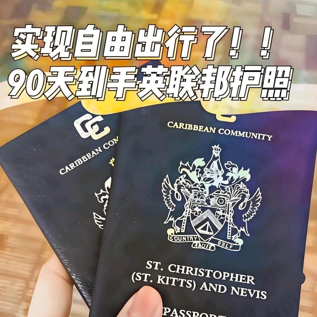 未迟咨询-小国护照