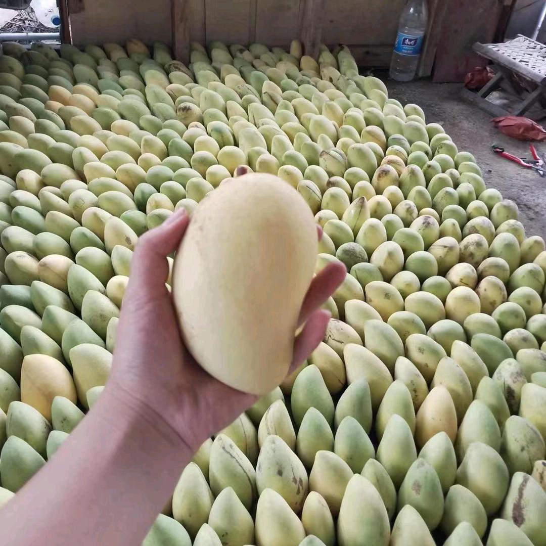 桃子，枇杷，李子