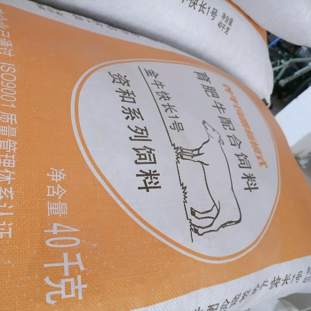 聊城资和饲料文静