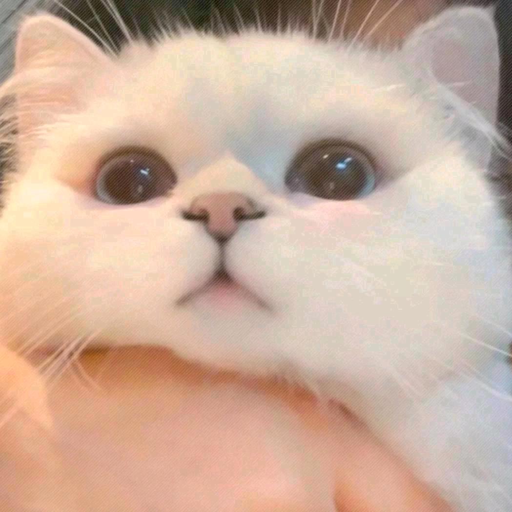 啊瑶777