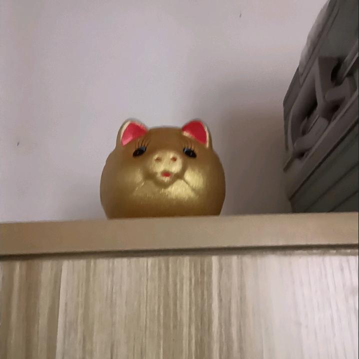 轩轩