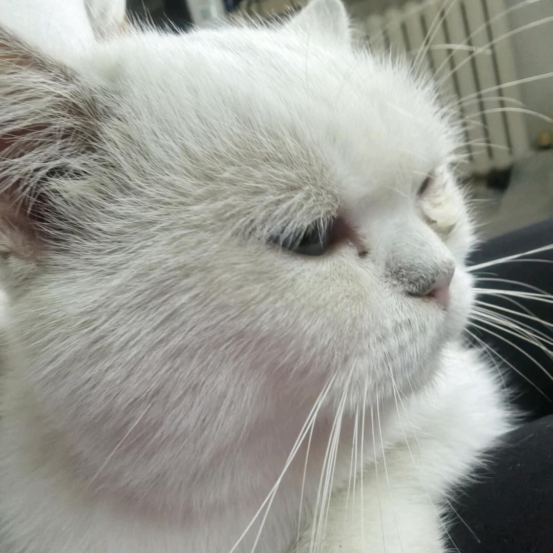 小吃货杂物社