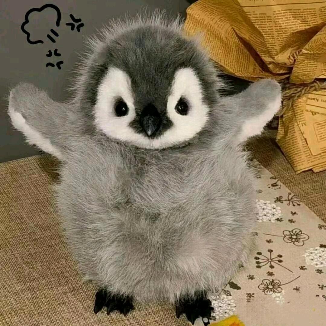 飒拾贰.