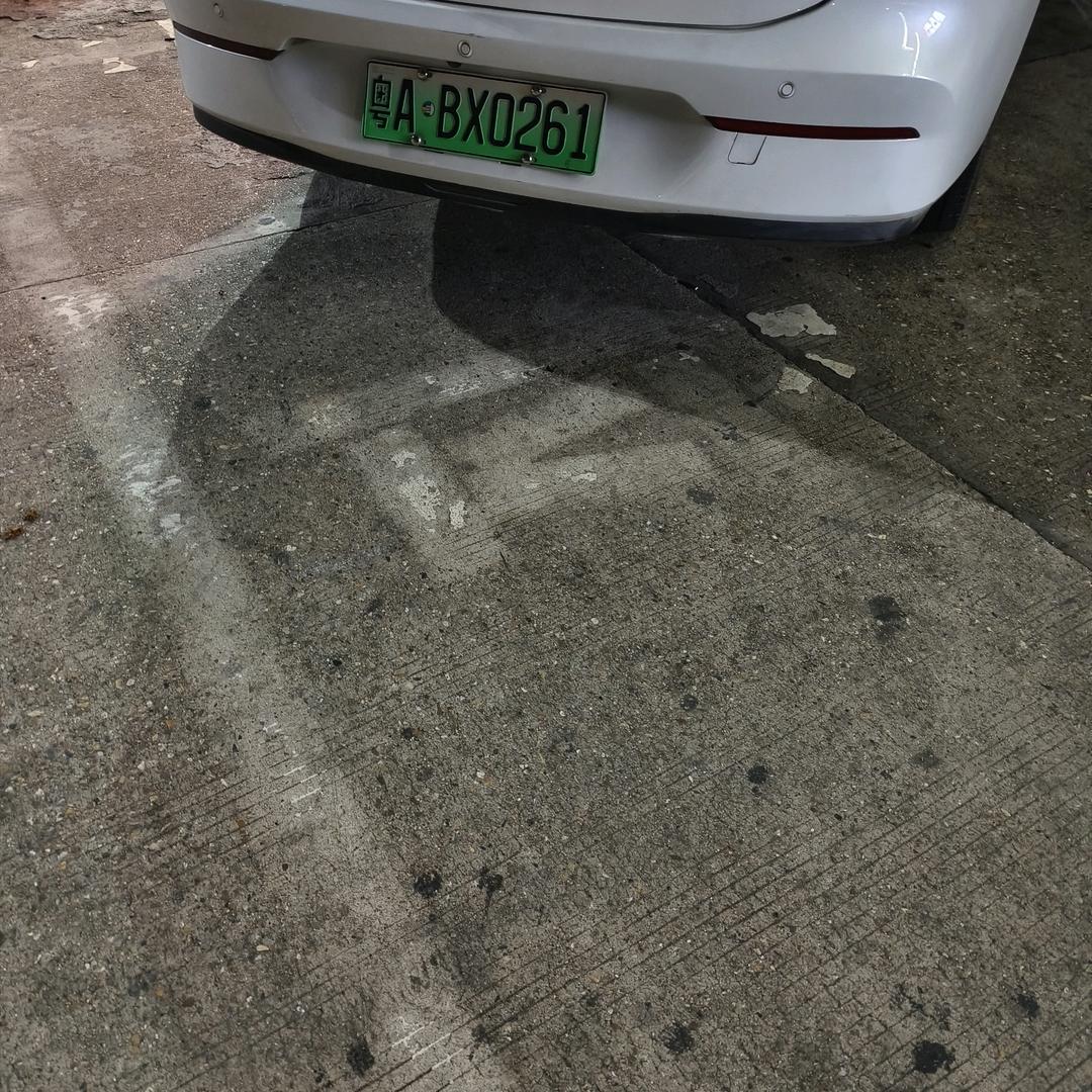 怜爱
