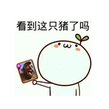 sha(⊙o⊙)