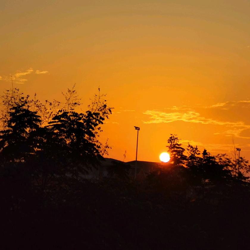 人生就是一杯烈酒