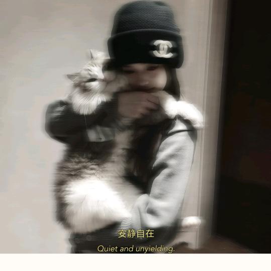不叨叨