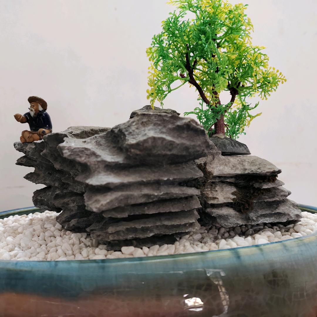 桂和园艺花木场