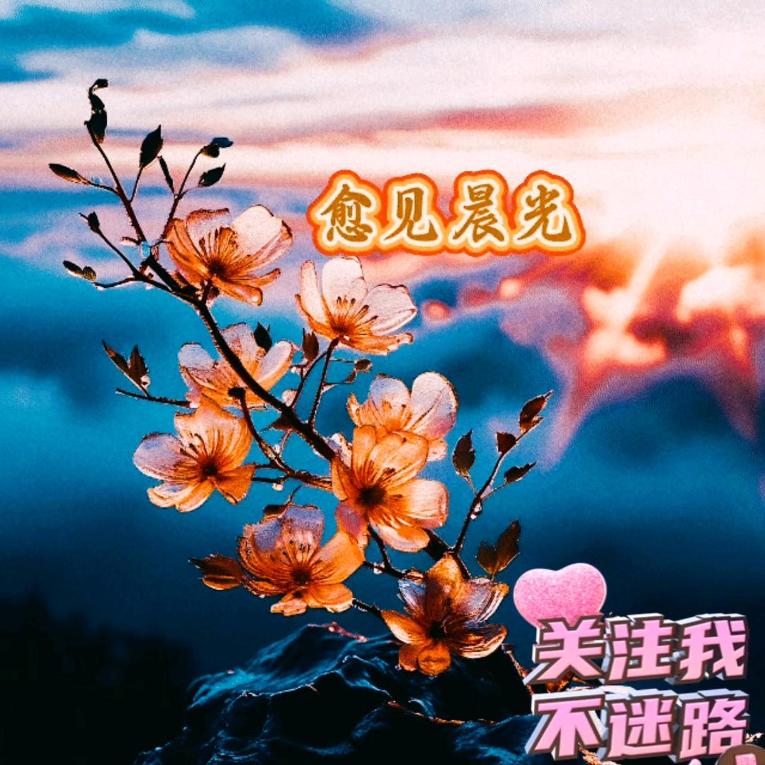早安絮语愈见阳见