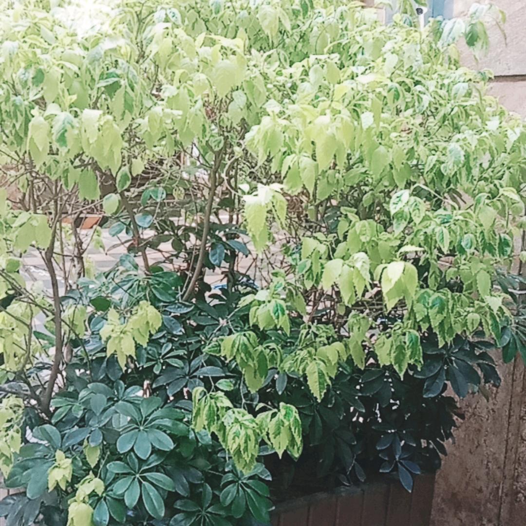 人生何处不相逢