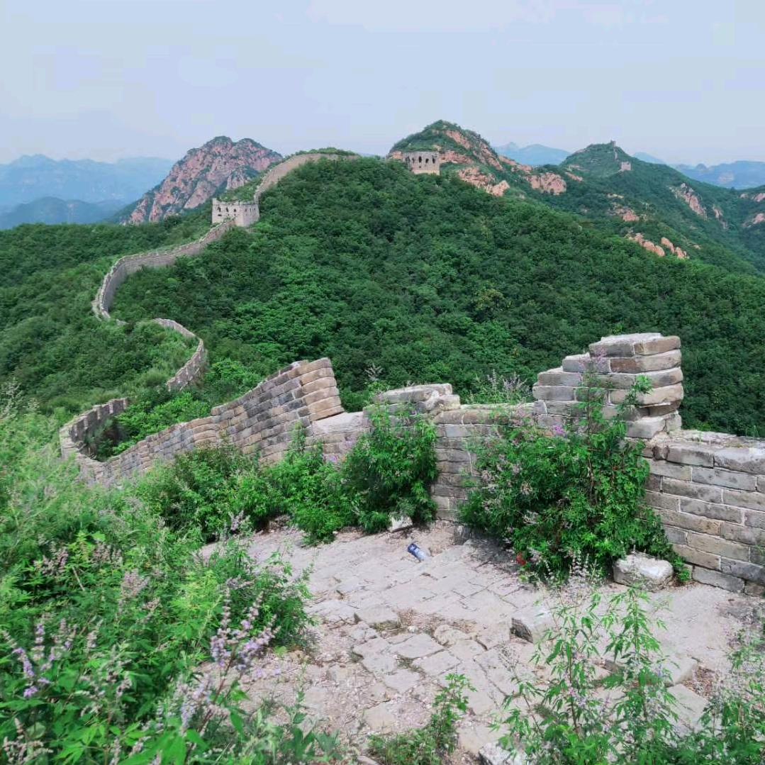 惠紫