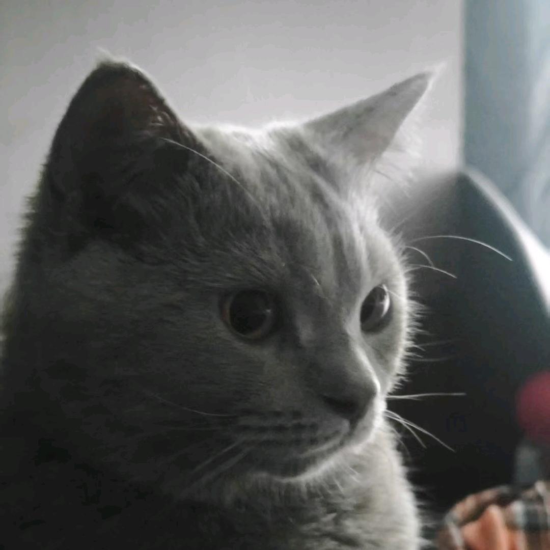 樊墨华