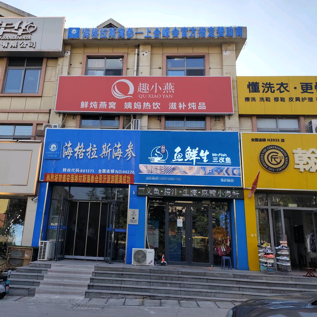 杨英豪75年兔