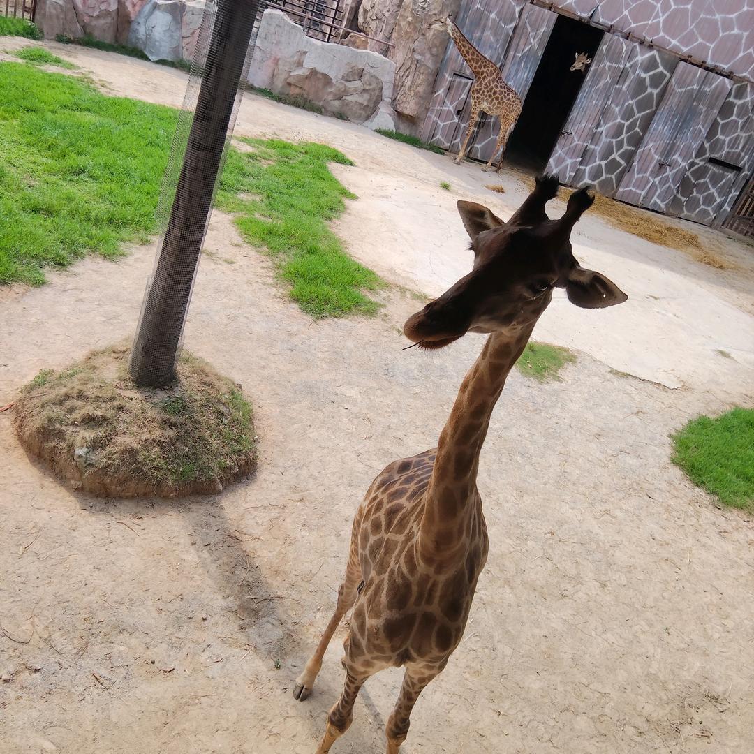 🌈背篼七星（互关）