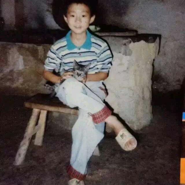 章小杰杰