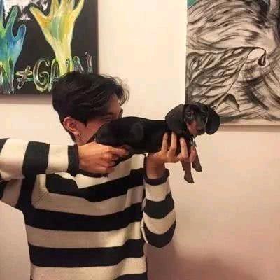 你回头乃是救赎