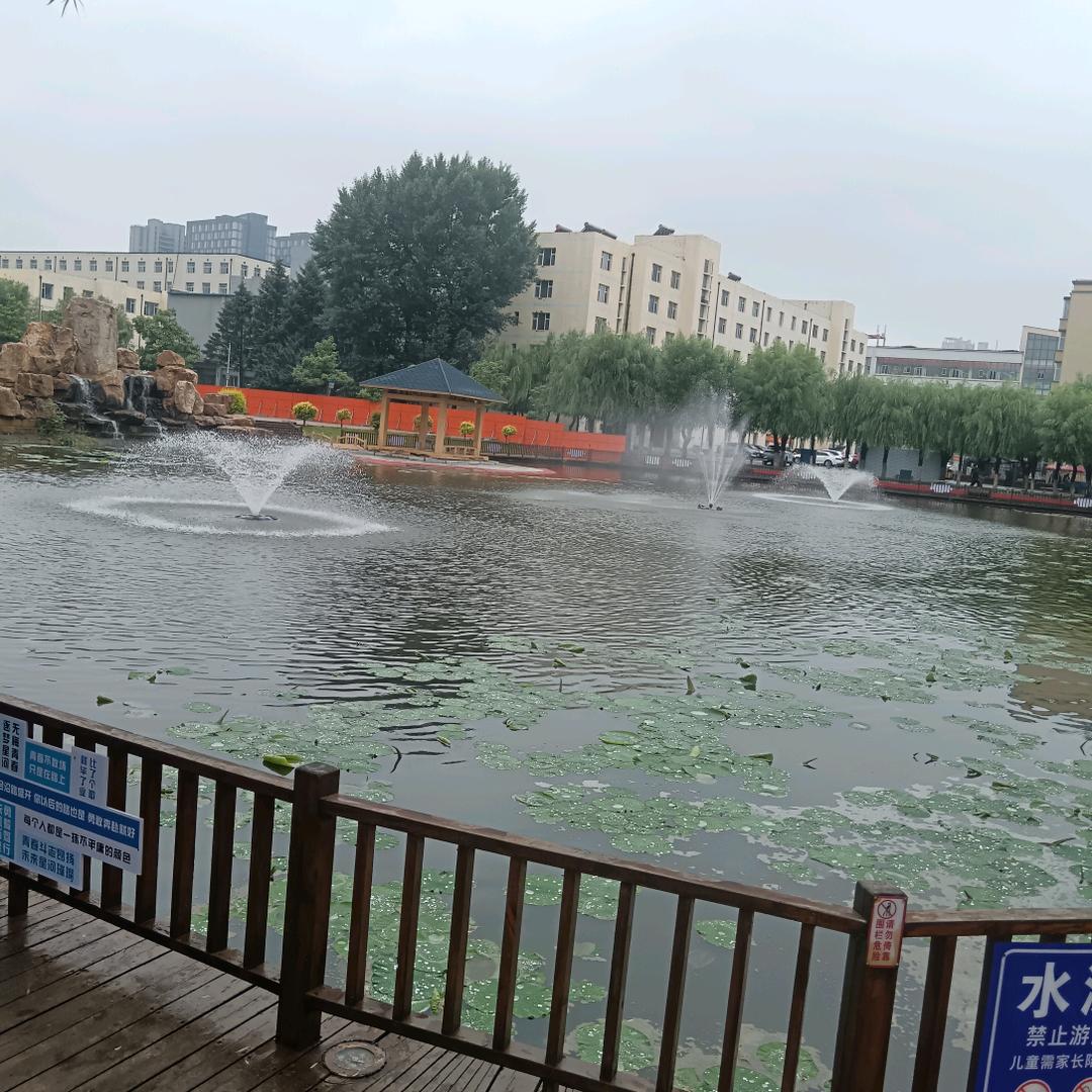 少阳