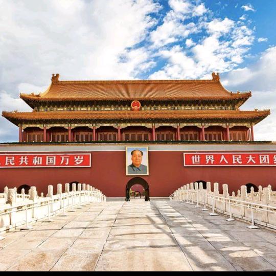 王呆呆