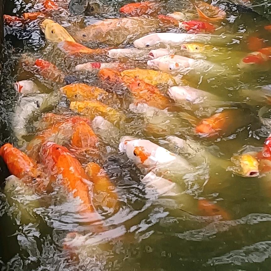 统一进口物流