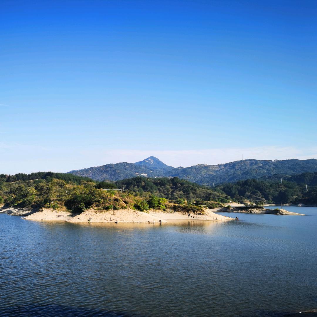 向阳☀️而生