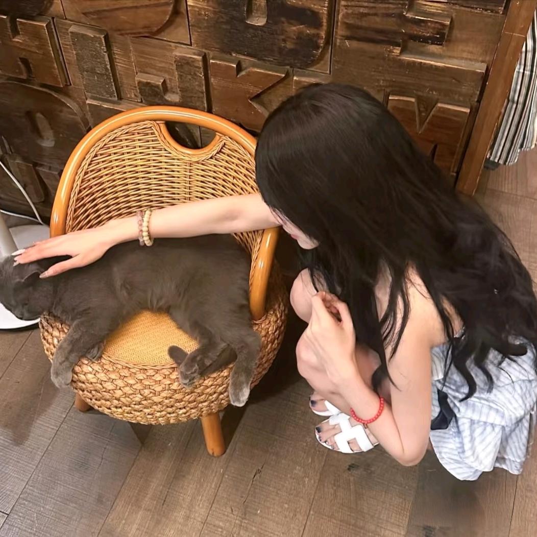 三金不是🐟