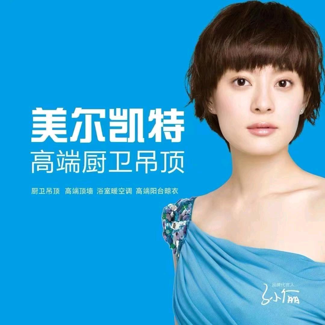 乌兰察布美尔凯特高端厨卫吊顶